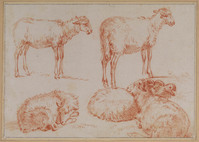 Y 039
<br/>
Studies van staande en liggende schapen
<br/>
<em>Stokvisch, Hendrik (1768-1820)</em>